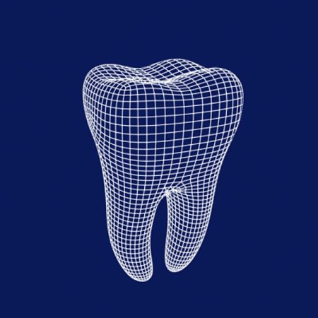 Зуб 3д модель