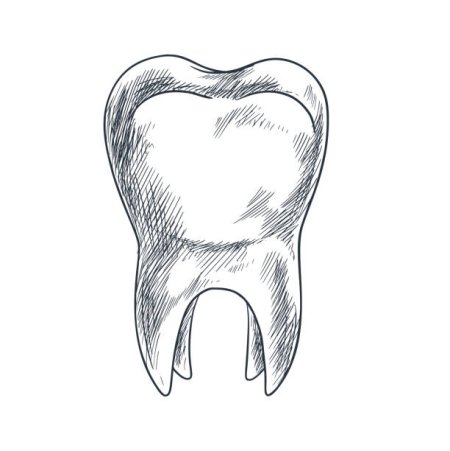 Зуб карандашом