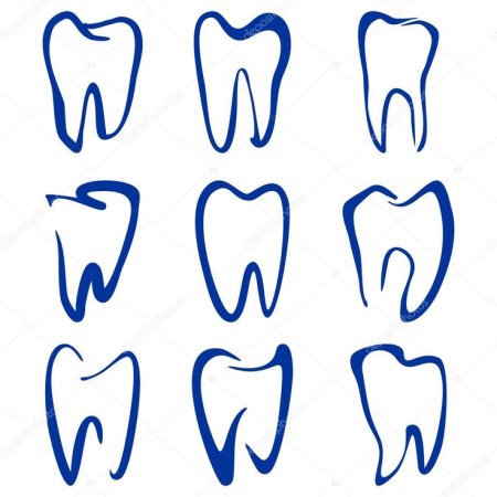 Формы контуров зубов