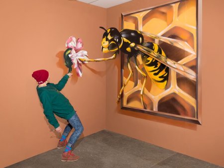 3д рисунки на стене