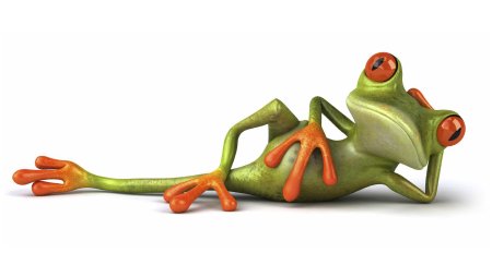 Лягушка лежит