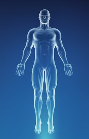 Прозрачный человек