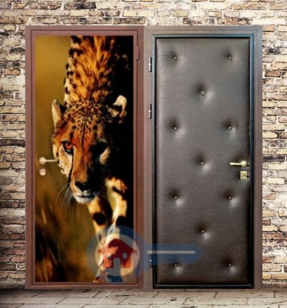 Принт на металлическую дверь
