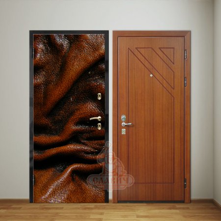 Входные двери с фотопанелью