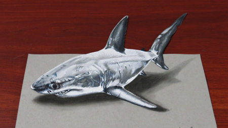 Акула рисунок