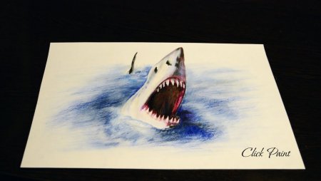 Акула 3д рисунок