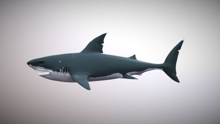 МЕГАЛОДОН 2