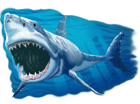 Фотообои акула