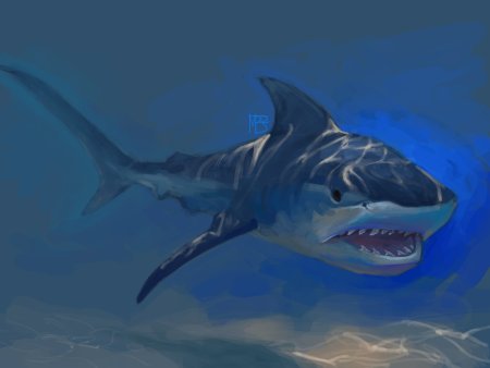 Акулы карандашом 3д