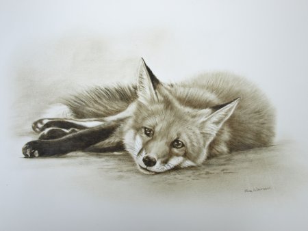 Лисенок набросок