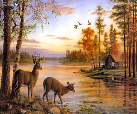 Живопись природа