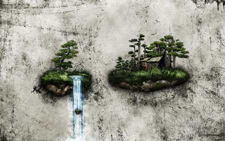 Бонсай заставка