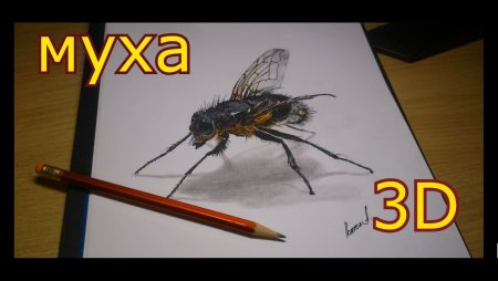 Муха 3д ручкой