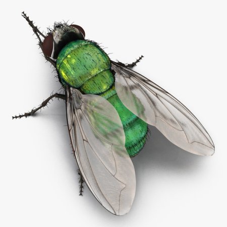 Муха модель