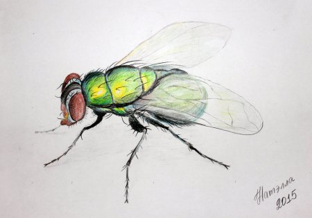 Пчела киборг