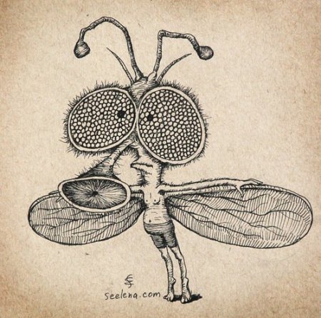 Насекомые карандашом