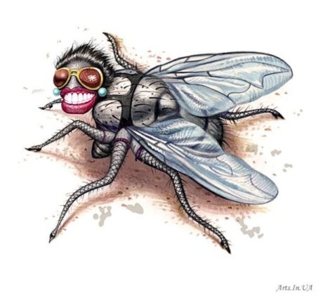 Муха для рисования