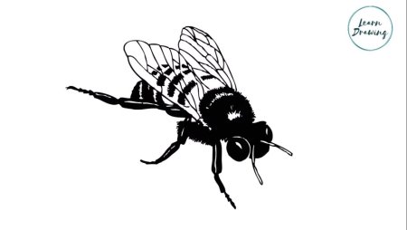 Муха стикер