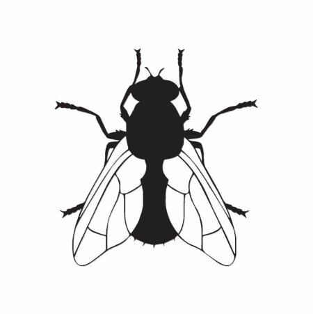 Муха рисунок
