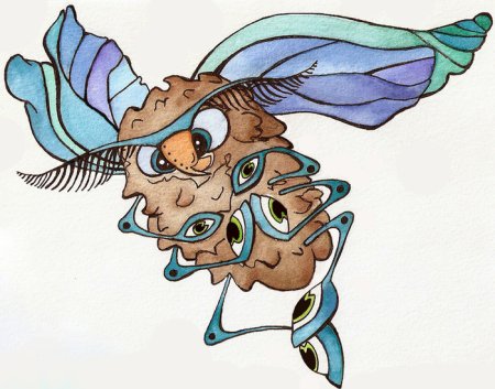 Муха рисунок цветными карандашами