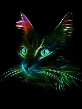 Неоновые коты