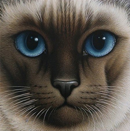 Кошачий глаз арт