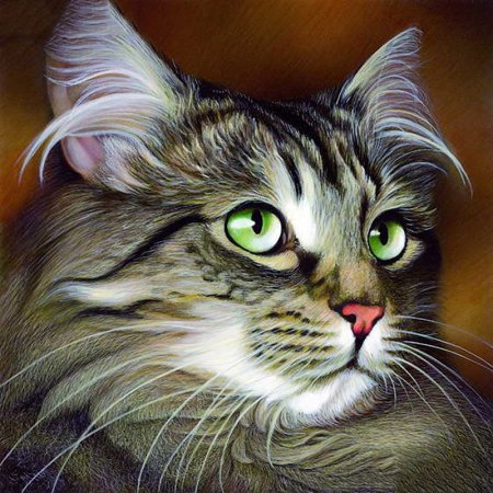 Алмазная мозаика "коты"