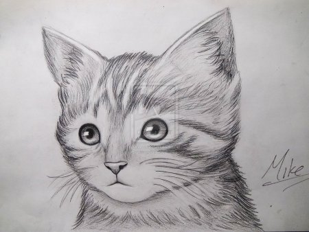 Красивые рисунки котят карандашом