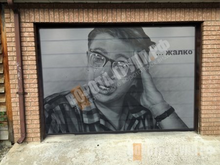 3d рисунки на гаражных воротах
