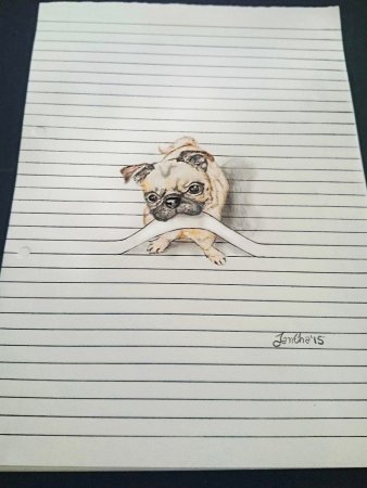 Рисунки в тетради