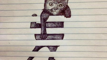 Рисунки в тетради