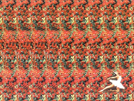 Стереограмма Будда