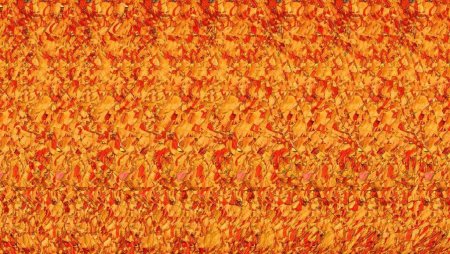 3д стереограммы для глаз