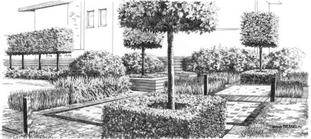 Ландшафтная Графика