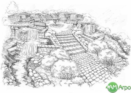 Эскиз ландшафтного дизайна