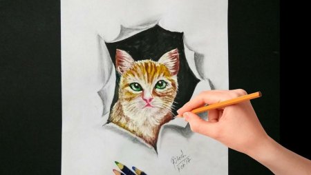 Коты рисунок 3 д