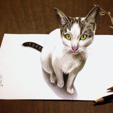 Котик с бумагами