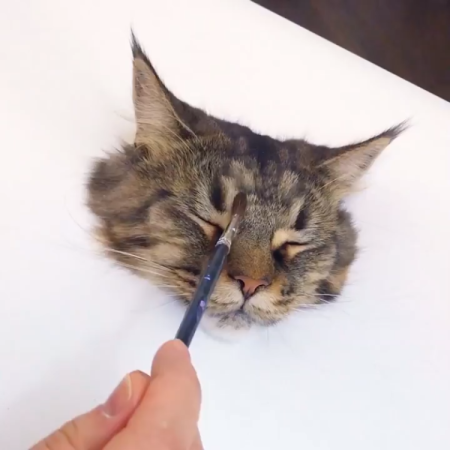 Котик с кисточкой