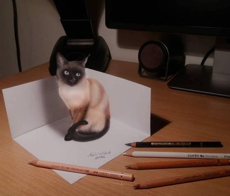 Объемные рисунки котиков