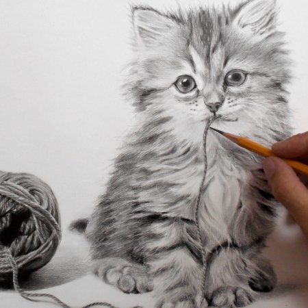 Кот карандашом