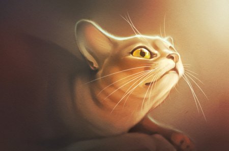 Арты котят