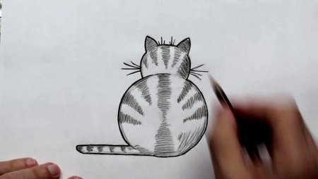 Котик с бумагами