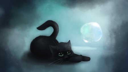 Коты арт