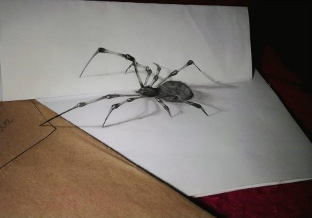 Паук объемный рисунок