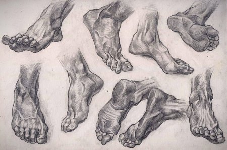 Зарисовки стопы
