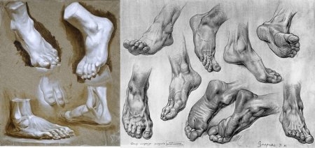 Стопа анатомия в разных ракурсах