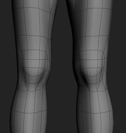 Топология ноги человека 3д