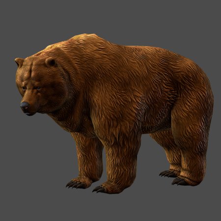 Бурый медведь 3д модель