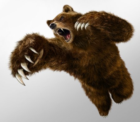 Медведь Kuma Tekken