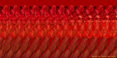 Стереограмма бабочка